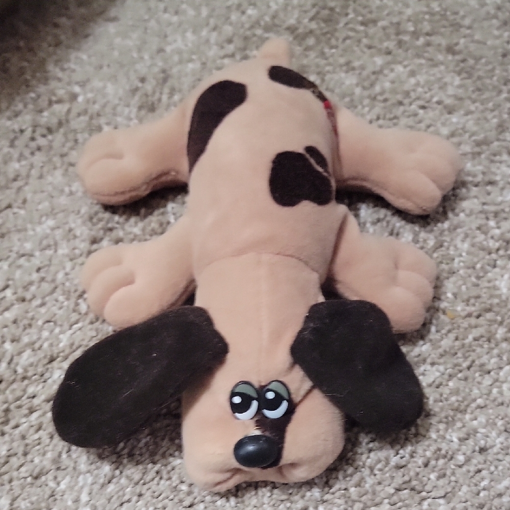 Small Pound Puppy